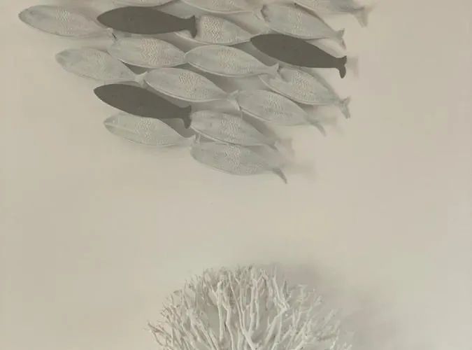 Apartment Nido Di Valter, 5 Min A Piedi Dalla E Dal Centro Rapallo